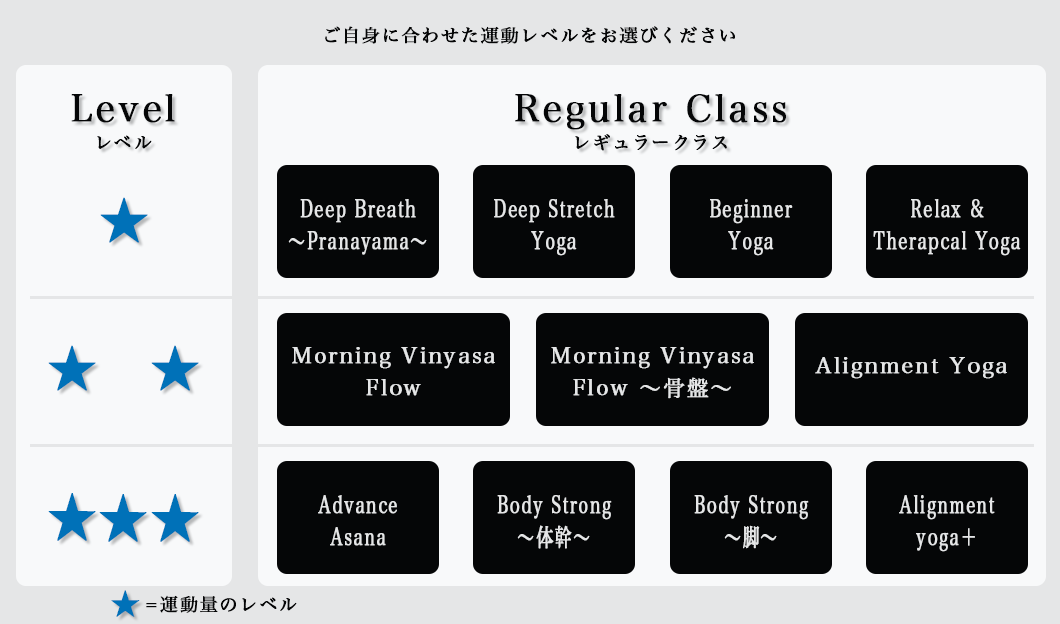 class level class level